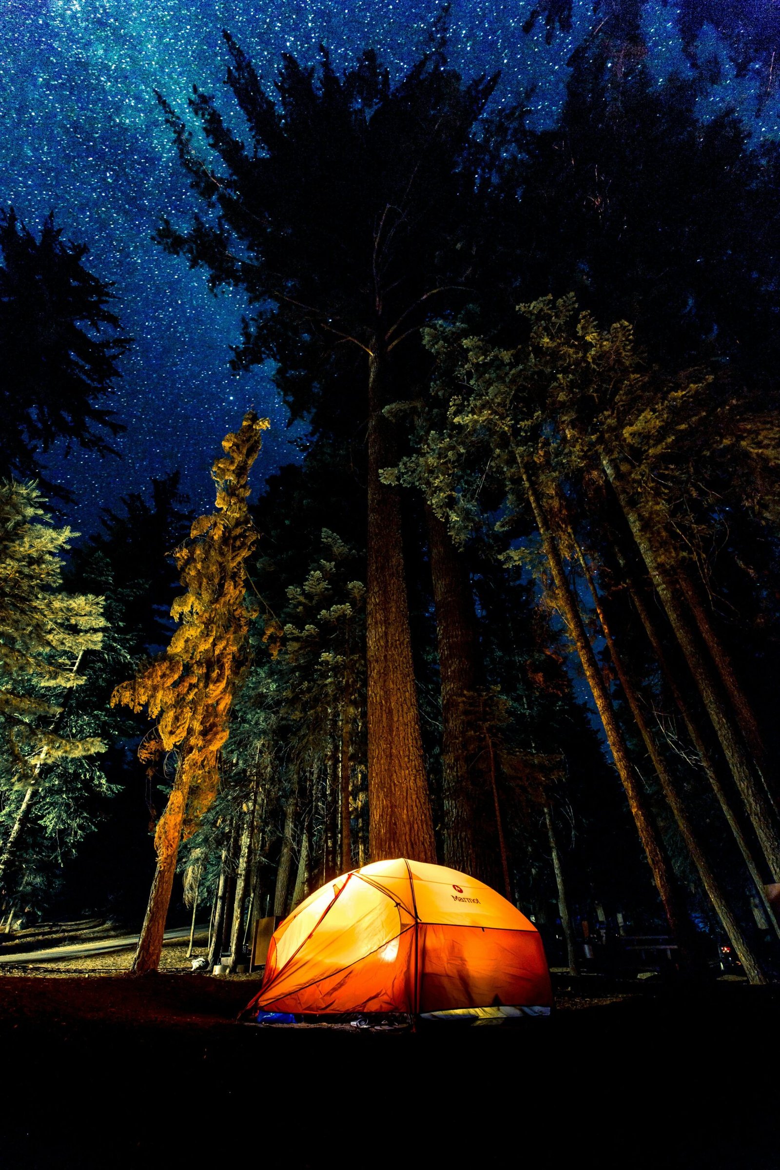 Top 10 Campgrounds Near Me for a Perfect Outdoor Adventure