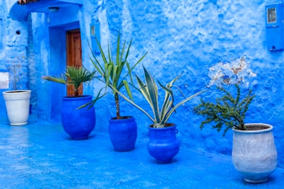 Pourquoi Chefchaouen est-elle bleue ?