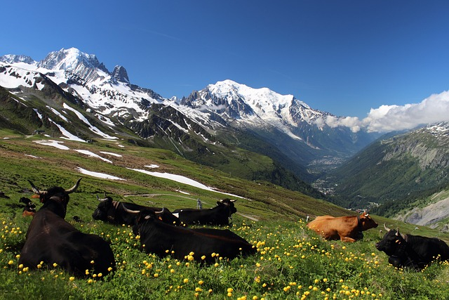 montagnes de l'Atlas